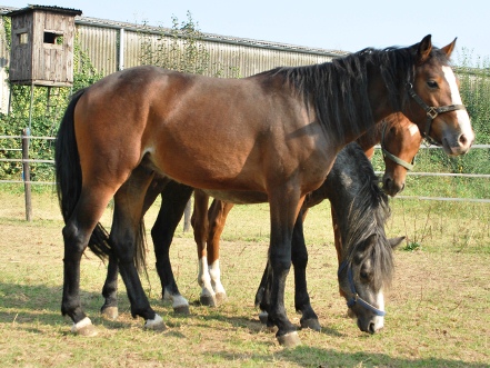 Rasputin 2 Jahre alt